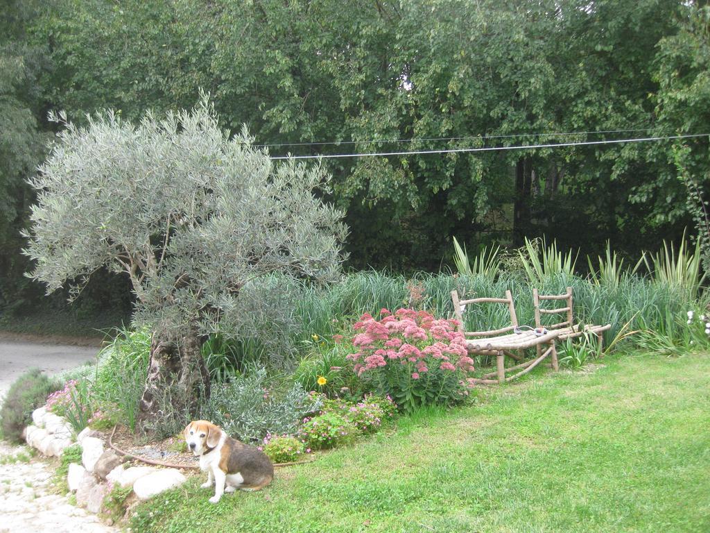 Agriturismo Campagnoletto Cavriana Dış mekan fotoğraf