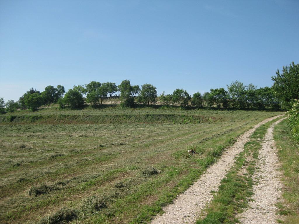 Agriturismo Campagnoletto Cavriana Oda fotoğraf