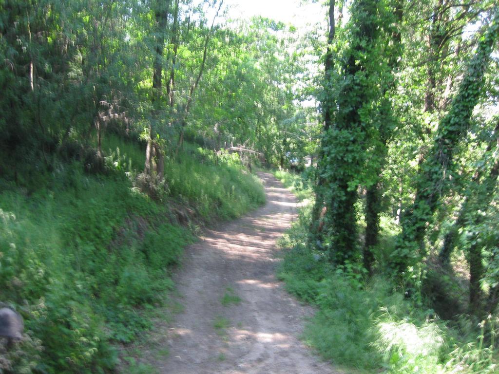 Agriturismo Campagnoletto Cavriana Oda fotoğraf