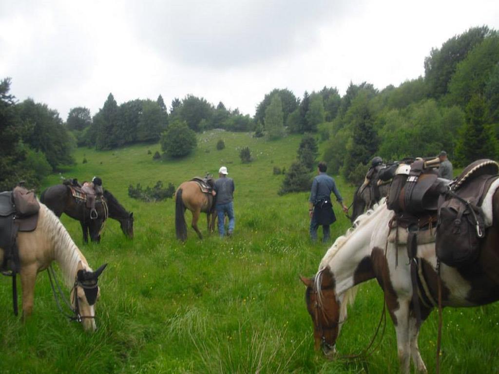 Agriturismo Campagnoletto Cavriana Dış mekan fotoğraf