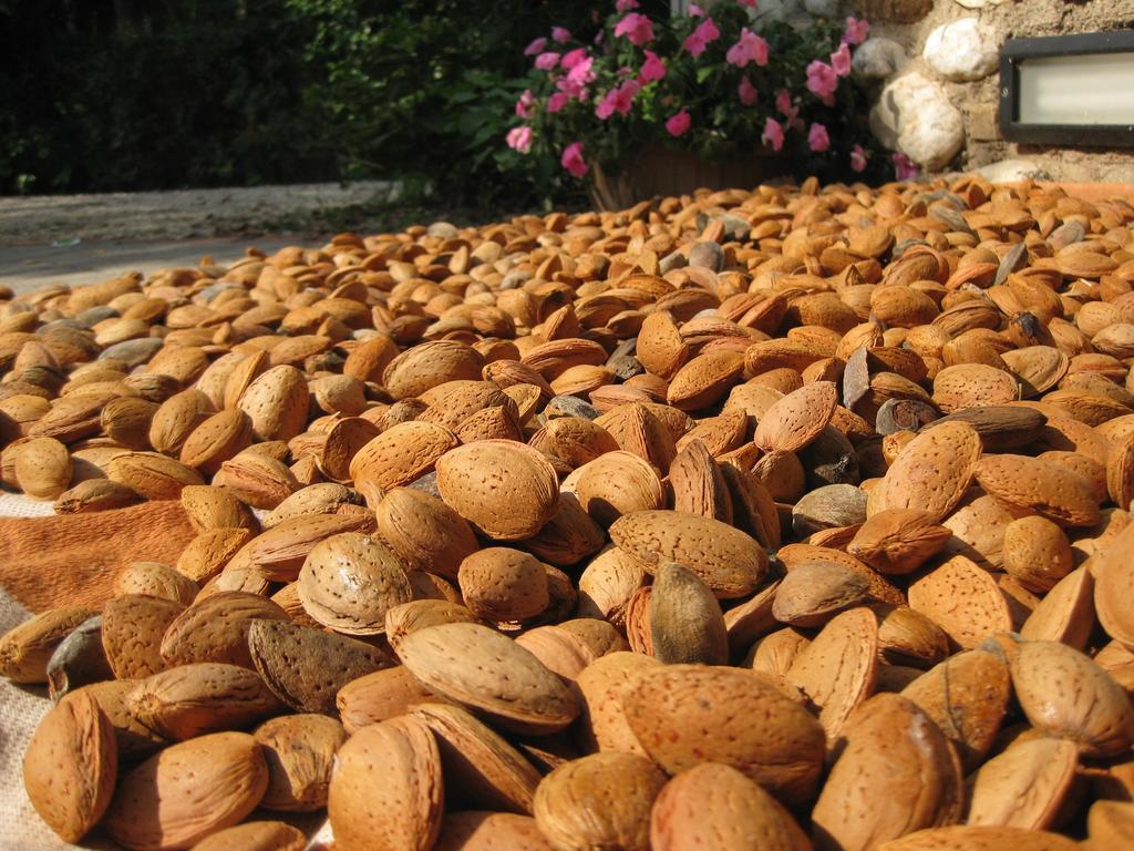 Agriturismo Campagnoletto Cavriana Dış mekan fotoğraf